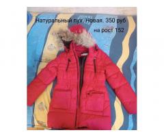 Куртка  зимняя - Изображение 1