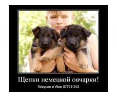 За скромную застенчивую цену - Изображение 3