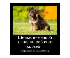 За скромную застенчивую цену - Изображение 6
