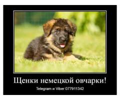 За скромную застенчивую цену - Изображение 8