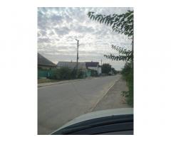Виноград